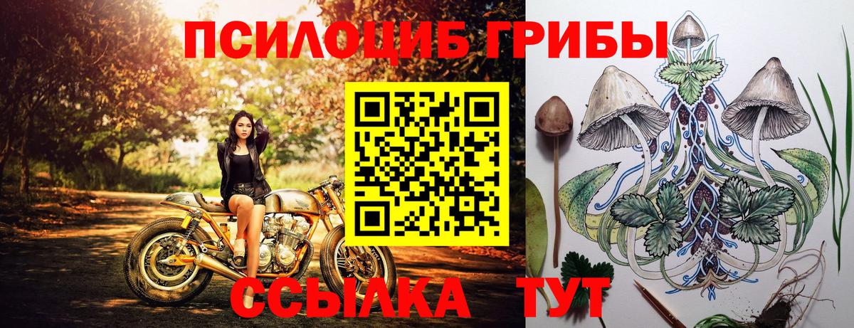 Псилоцибиновые грибы Cubensis Реж