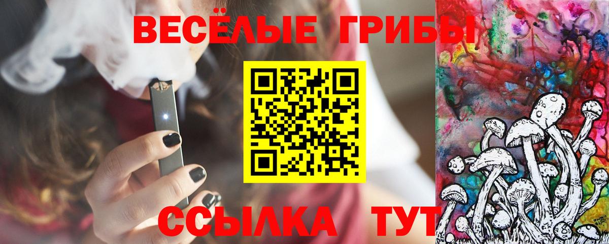 Реж  Псилоцибиновые грибы мухоморы  купить   Вход с VPN  Псилоцибиновые грибы Magic Shrooms 